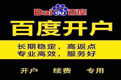 竞价排名案例：优化广告预算分配